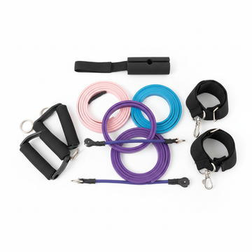WIDAS Premium Resistance Bands Set